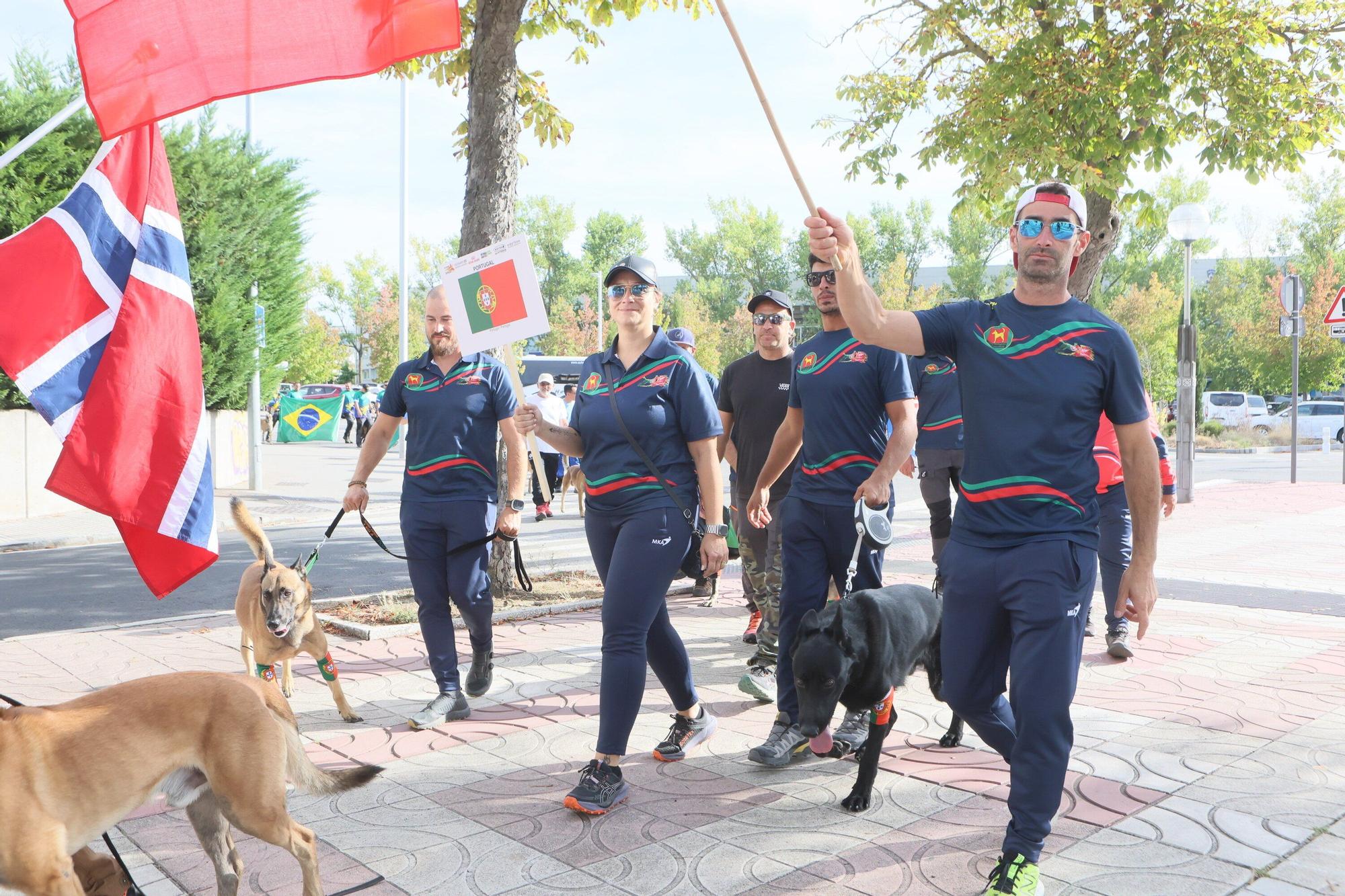 En imágenes: Perros de élite desfilan por Vitoria-Gasteiz por el 'Campeonato Mundial FCI-IGP'