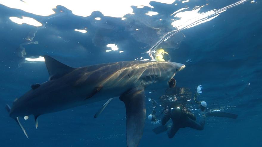 El documental 'Kantauri' podrá verse en proyecciones especiales en Madrid, Bilbao, Donostia y Nafarroa