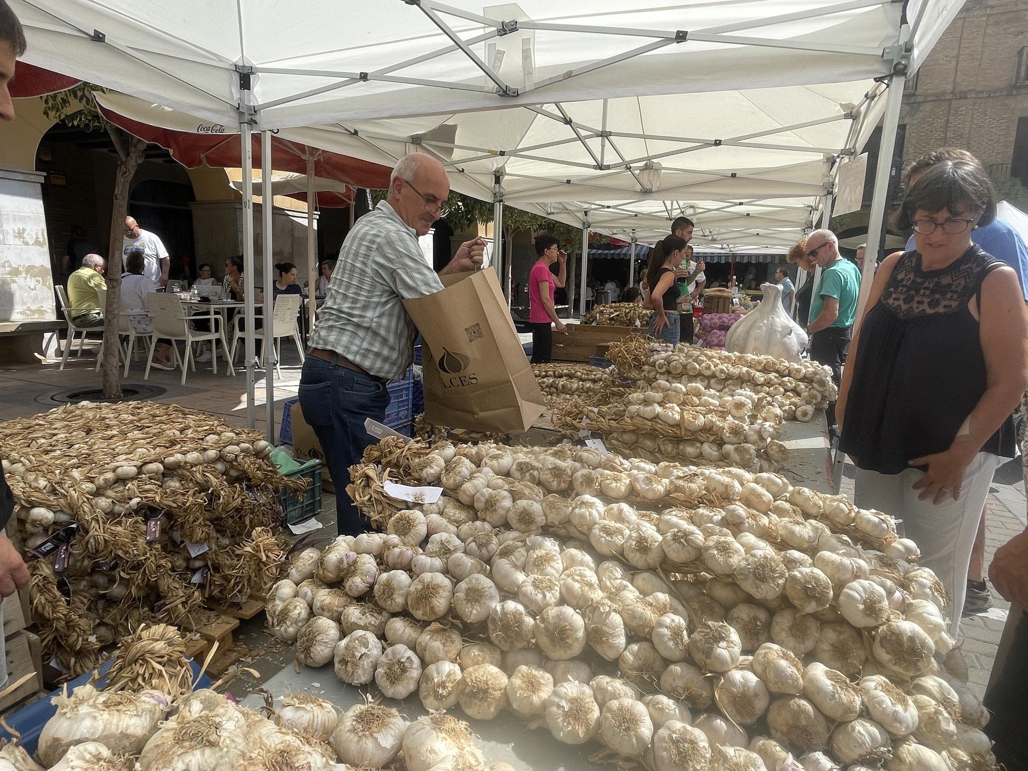 Falces celebra el XII Día del Ajo