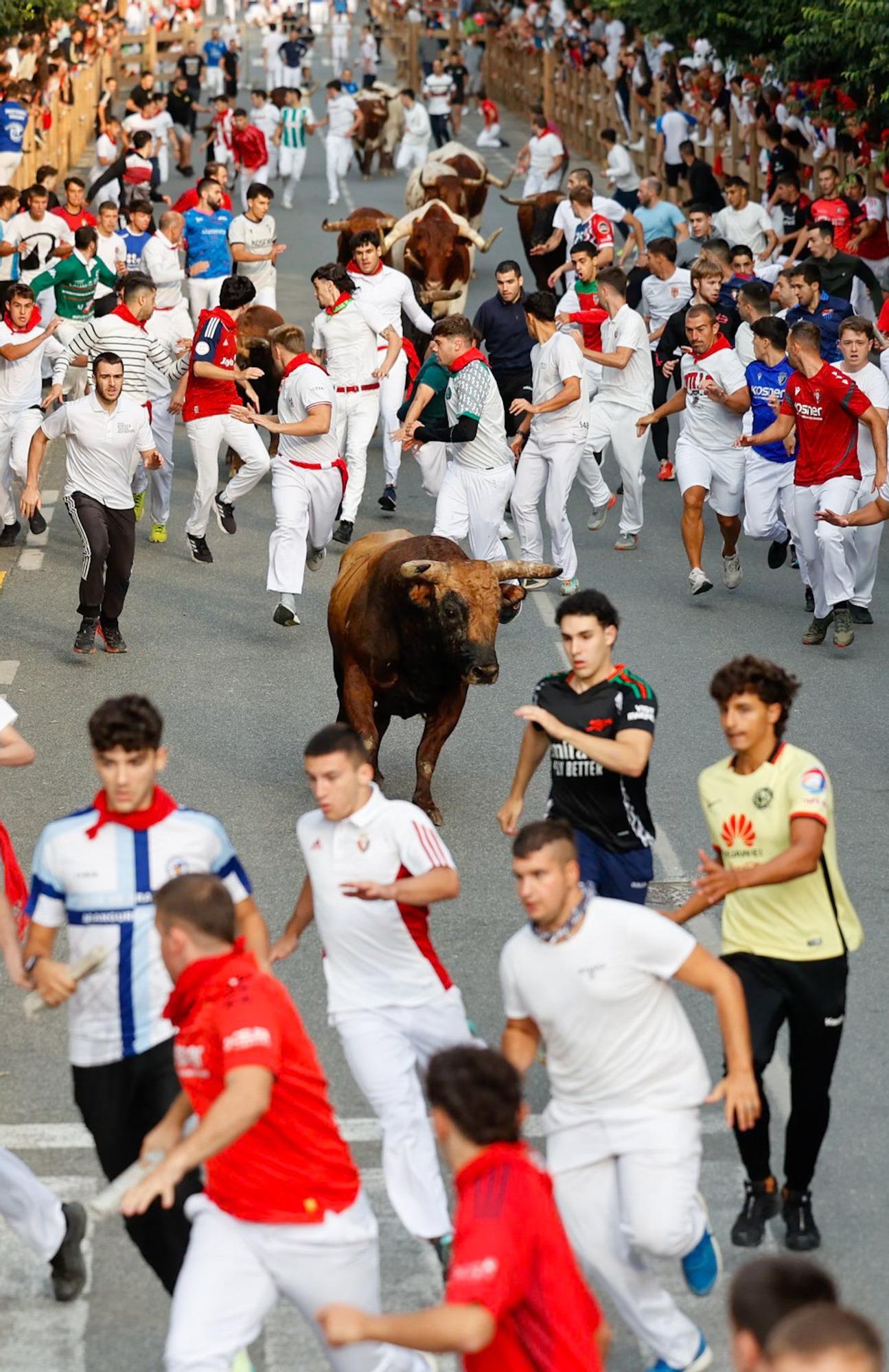 Fotos del quinto encierro de las fiestas de Tafalla 2025