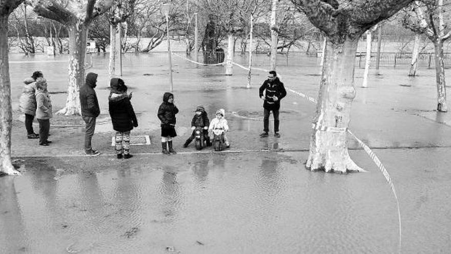 Familias enteras se acercaron al paseo del Prado para ver el desbordamiento del río.