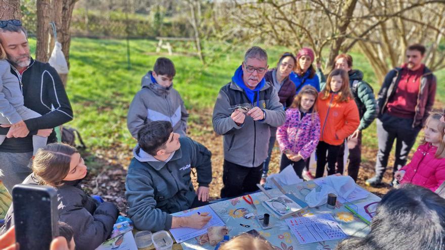 Bizkaia, santuario para el viaje de 300 especies de aves migratorias
