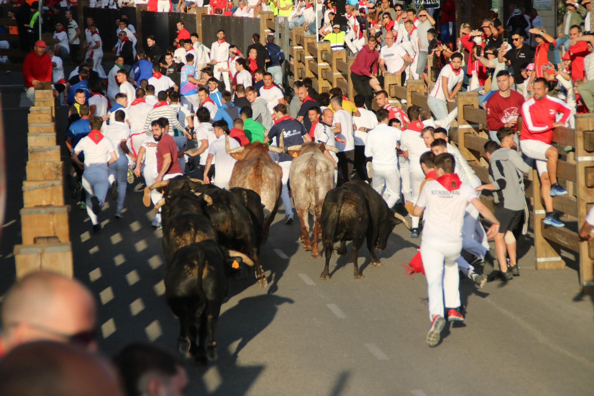 Fotos del tercer encierro de las fiestas de Tudela 2025