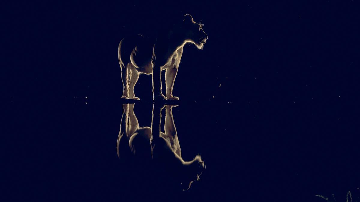 Fotografía del ganador del Premio, Igor Altuna Azcagorta.
