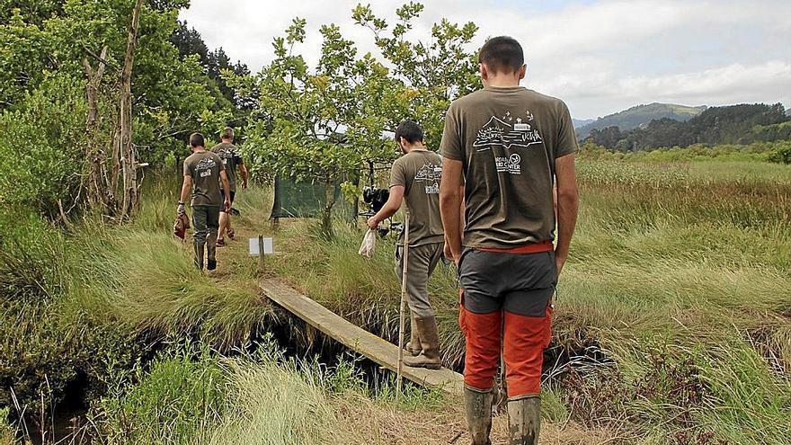 Voluntarios de Urdaibai Bird Center en las inmediaciones de los humedales de Orueta.