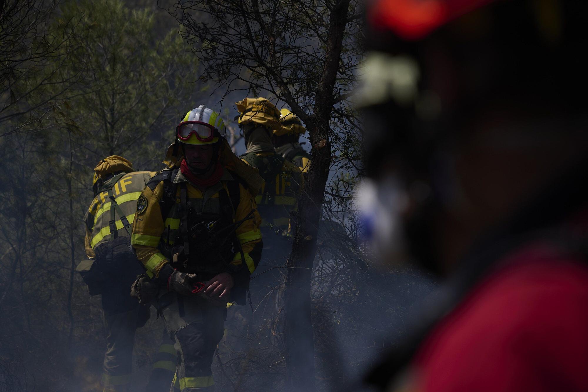 Fotos del incendio forestal cerca de Carcastillo