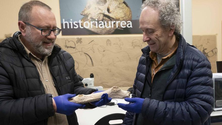 El viajero sílex lacustre de Treviño
