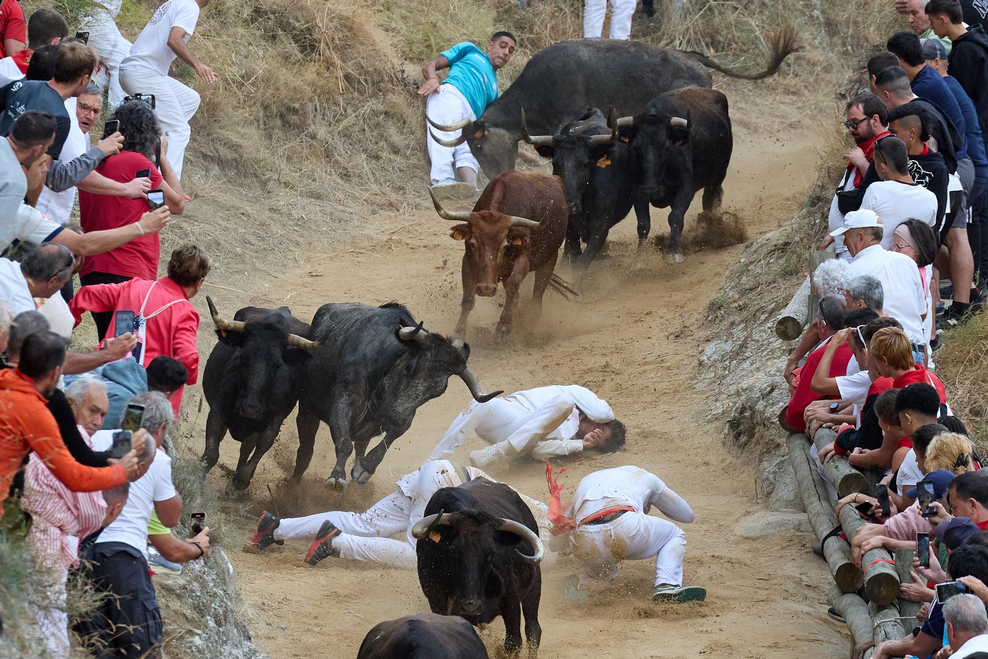 Fotos del tercer encierro del Pilón de Falces 2025