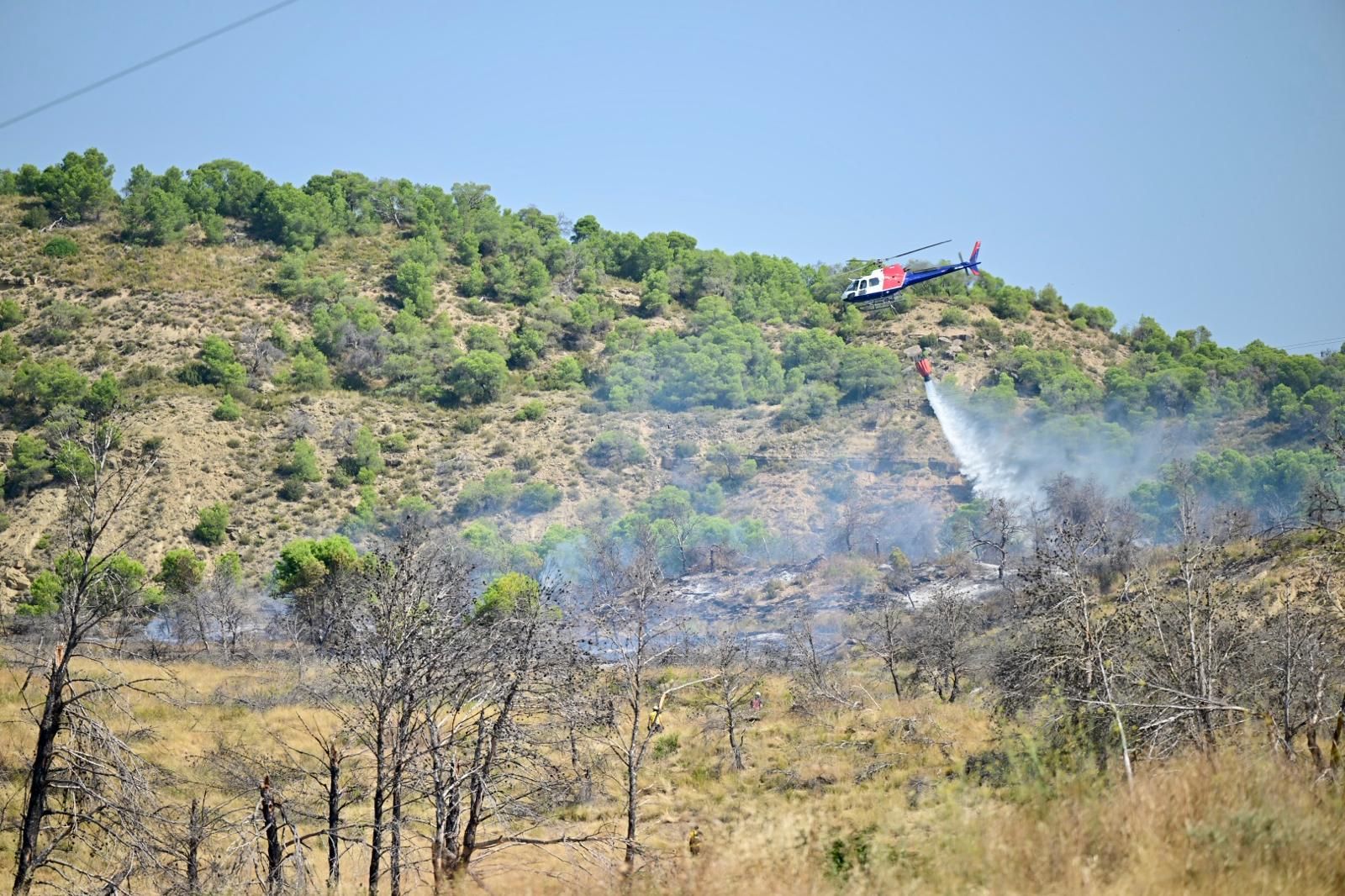 Fotos del incendio forestal cerca de Carcastillo