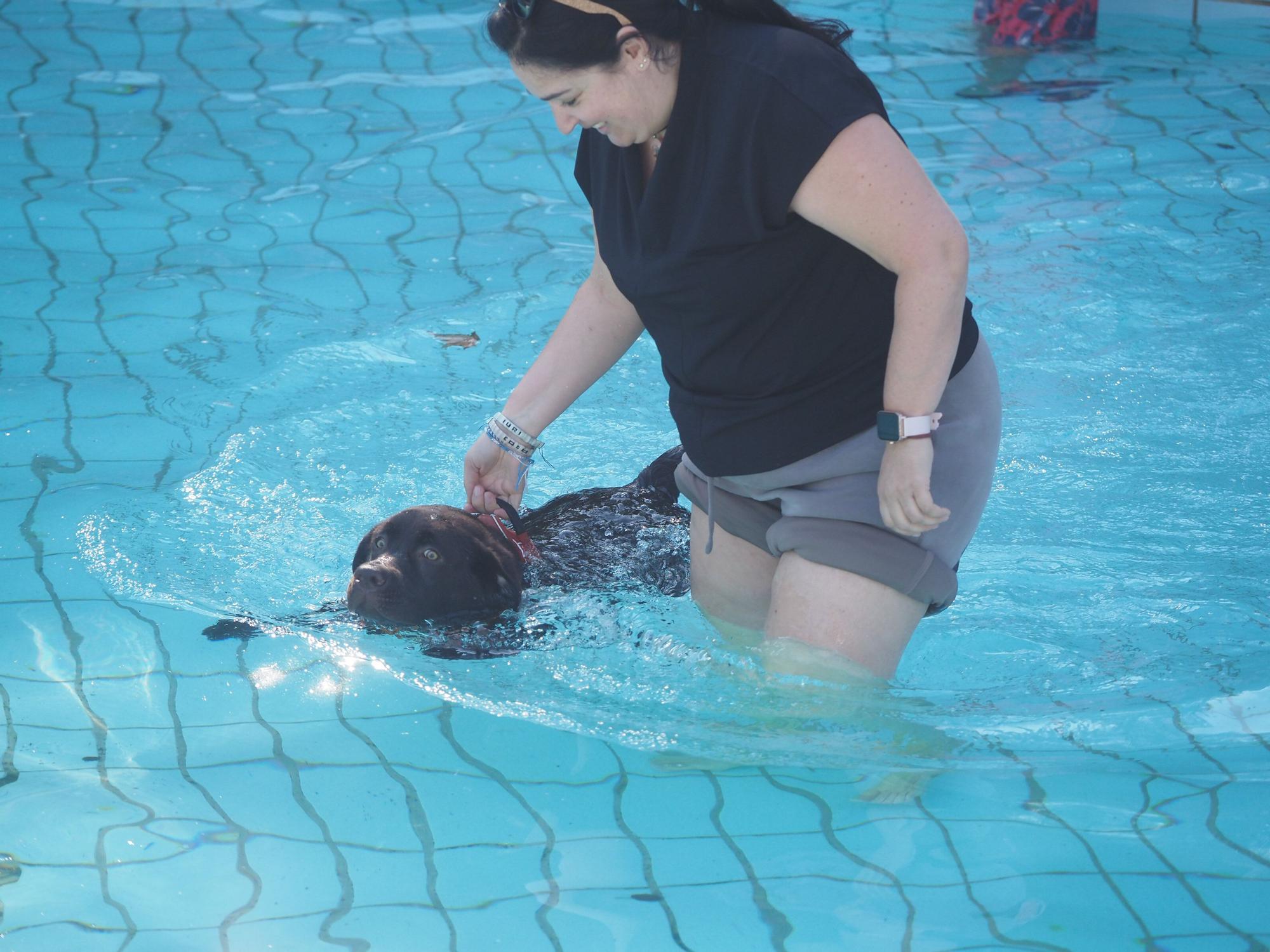 Las piscinas de Eibar han sido coto privado para los perros