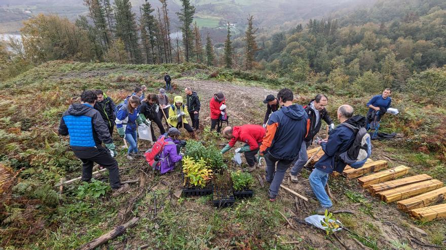 Así puedes ayudar a recuperar el bosque autóctono de Elgoibar: plantando árboles