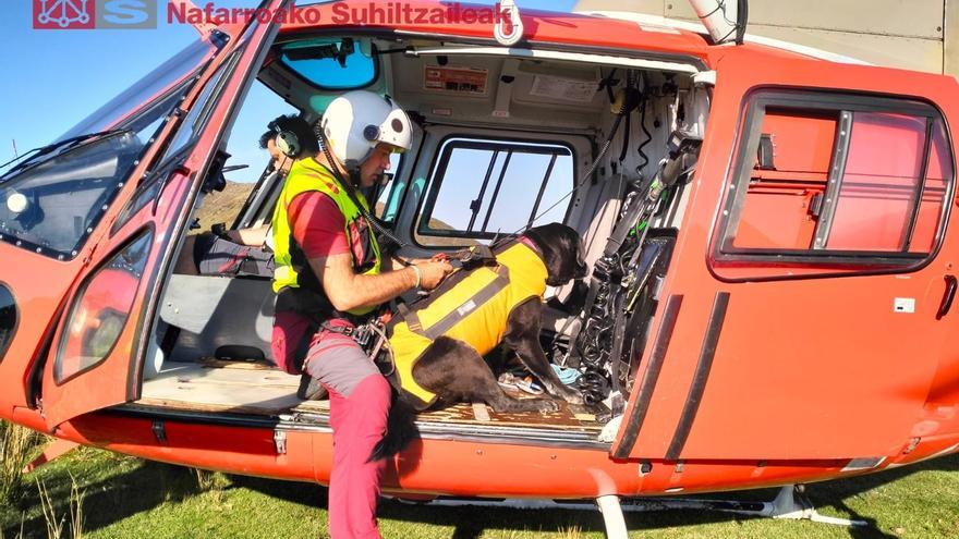 Rescatan a un perro que había sufrido una caída en una zona escarpada de Baztan