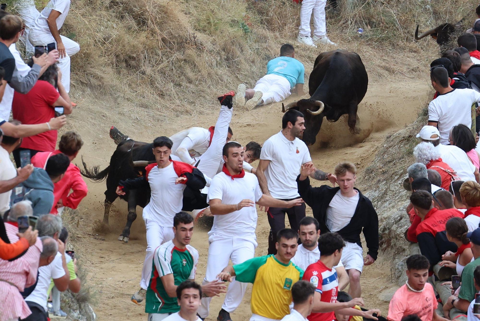 Fotos del tercer encierro del Pilón de Falces 2025