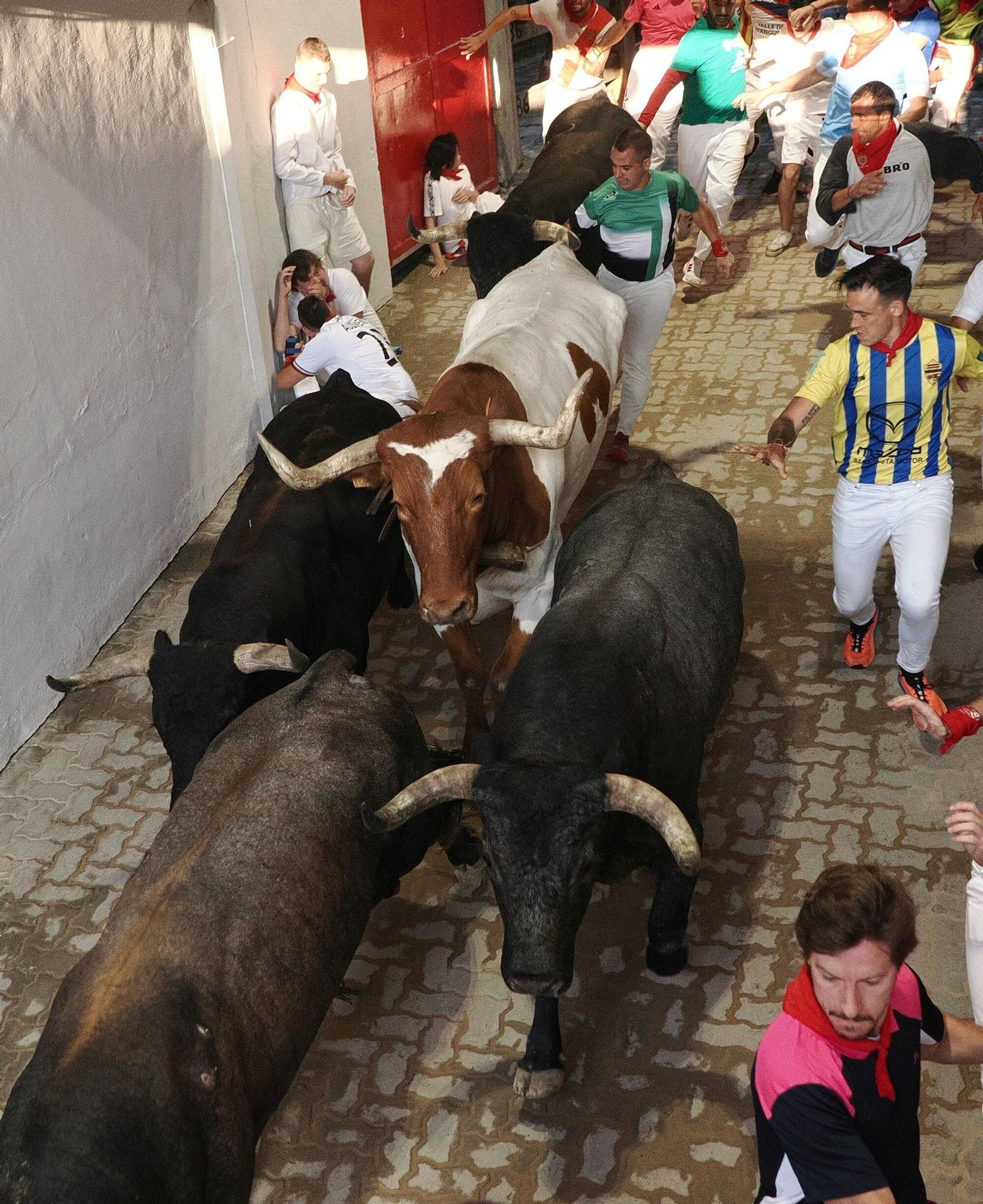 Fotos del octavo encierro de San Fermín con toros de Miura