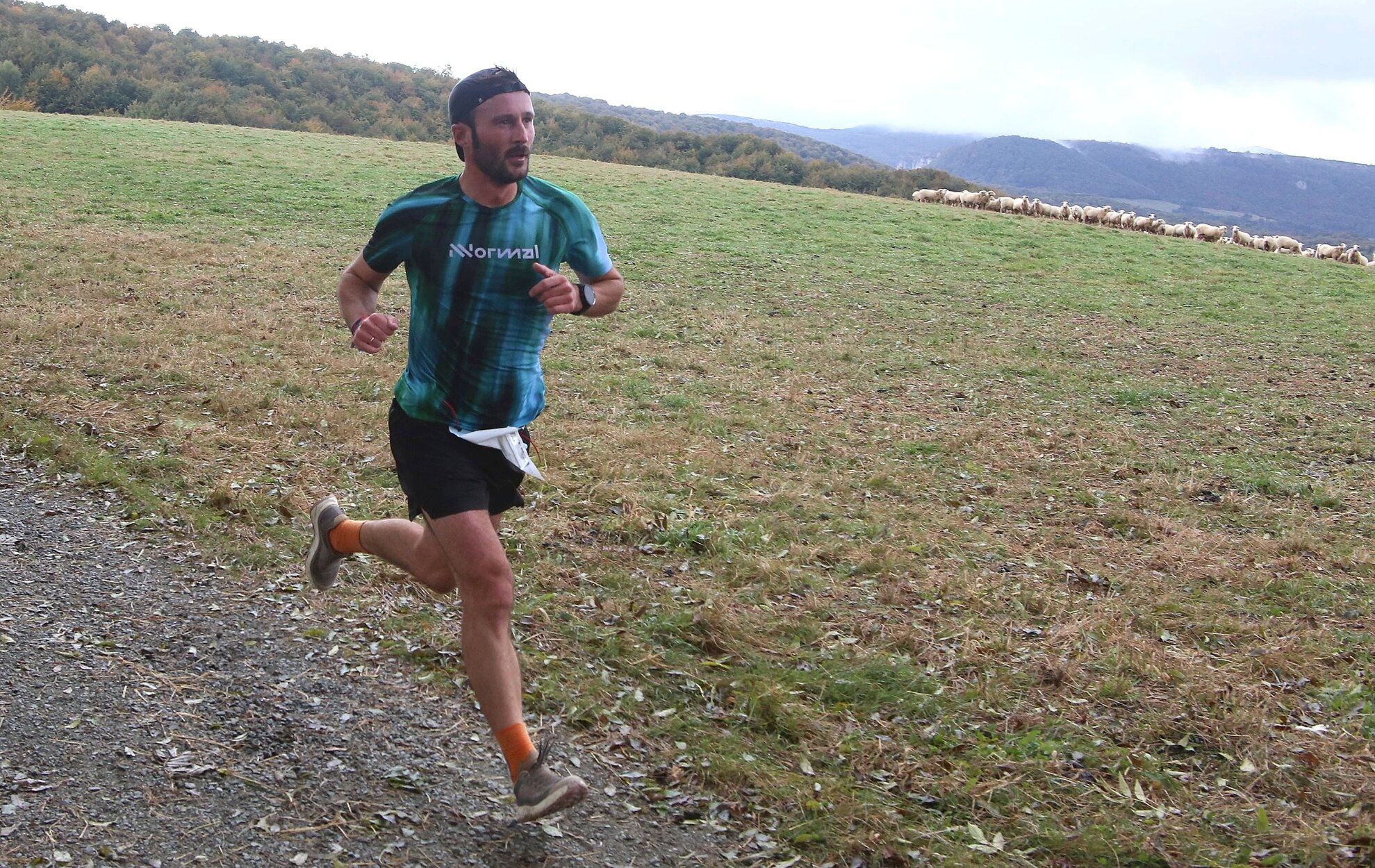 Fotos de la XVIII Media Maratón Roncesvalles-Zubiri