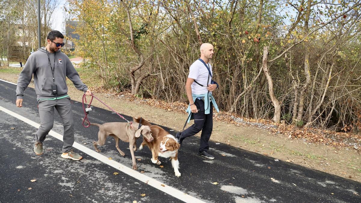 Paseo con los perros por el nuevo camino peatonal y ciclista entre Goikolarra y Olarizu.