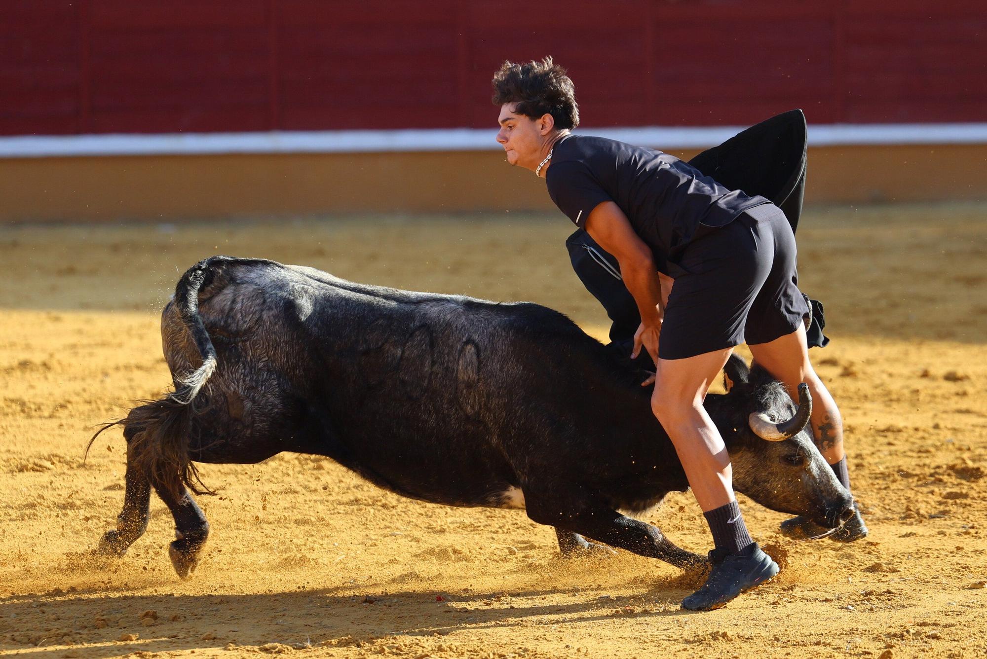 Revolcón de un mozo en las vaquillas de Tudela