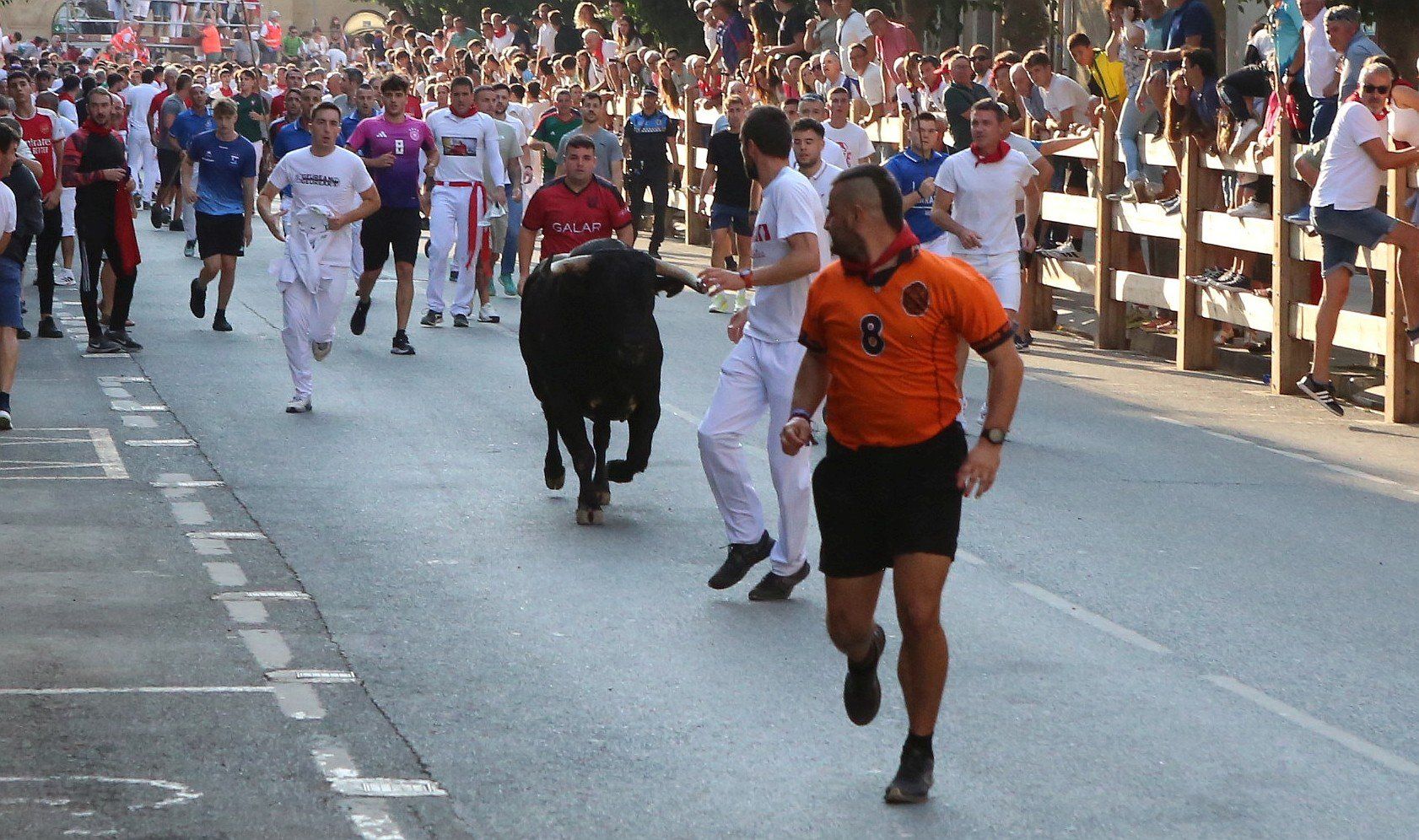 Fotos del primer encierro de fiestas de Tafalla