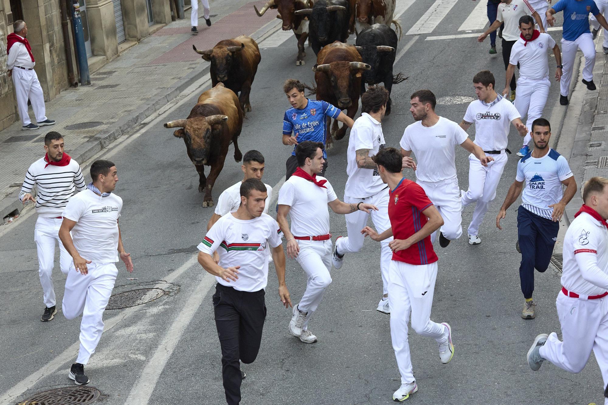 Fotos del sexto encierro de las fiestas de Tafalla 2025