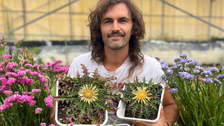 La magia de los eguzkilores, en plena floración