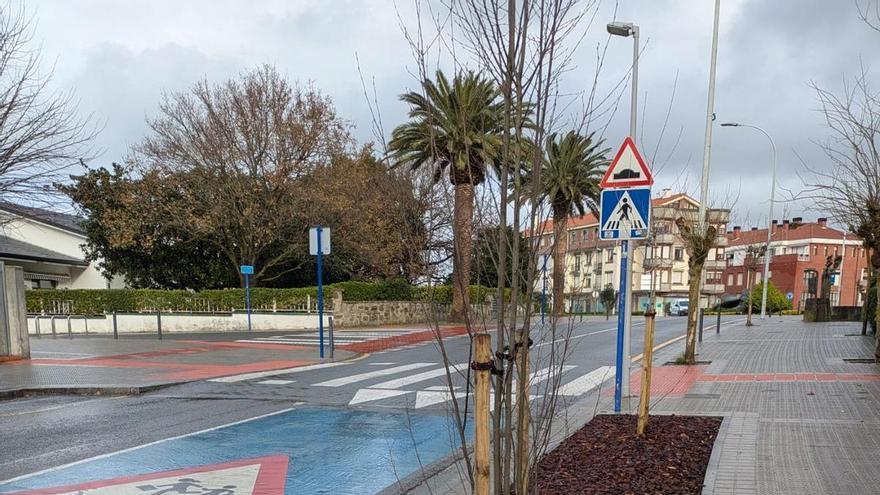 Sopela finaliza una prueba piloto para mejorar el arbolado en el área urbana