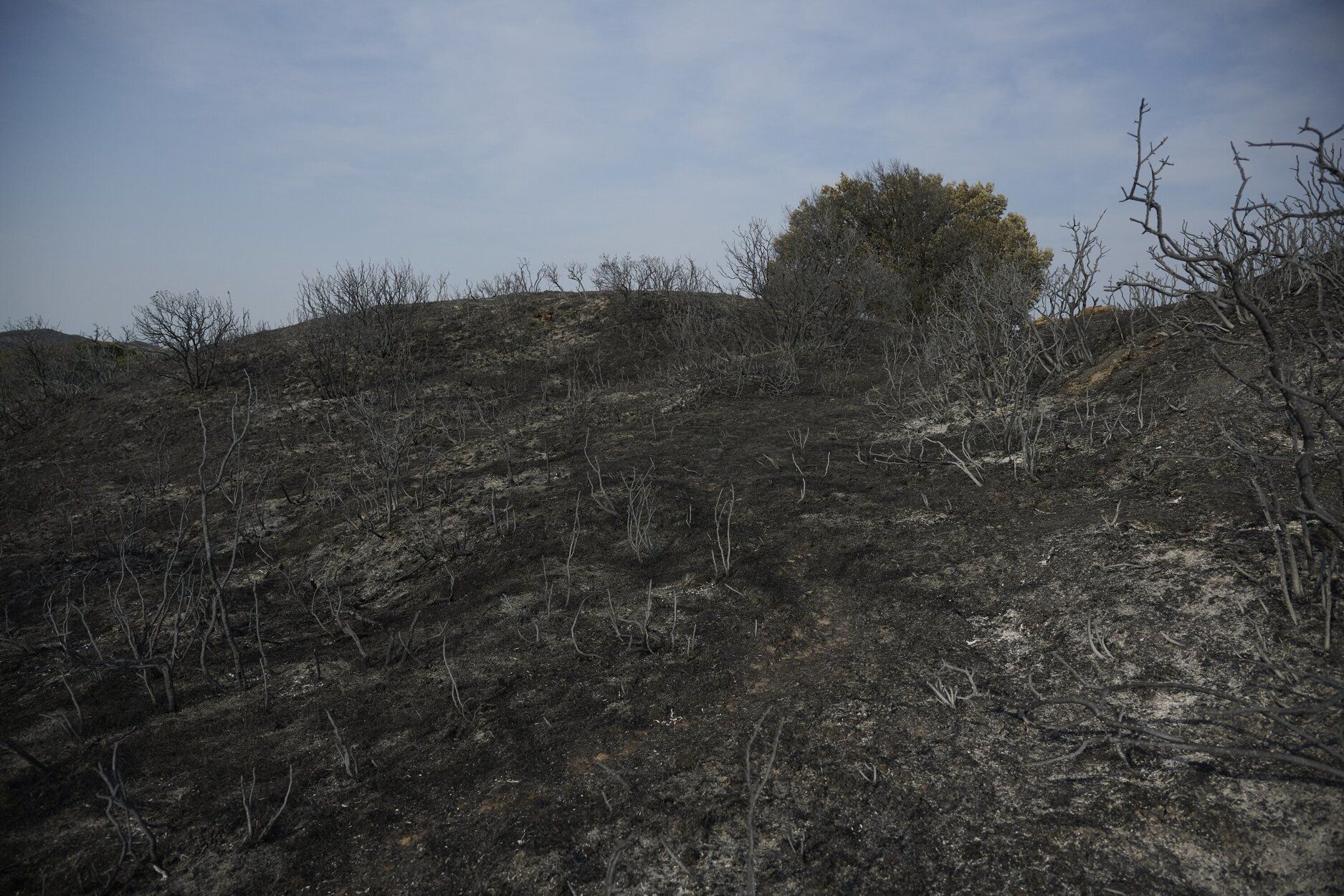 Imágenes de la zona afectada por el incendio en Enériz