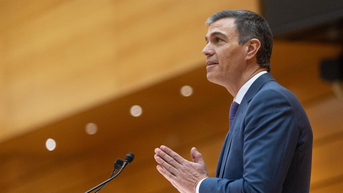 El presidente del Gobierno Pedro Sánchez, interviene durante la sesión extraordinaria del Congreso El presidente del Gobierno Pedro Sánchez, interviene durante la sesión extraordinaria del Congreso