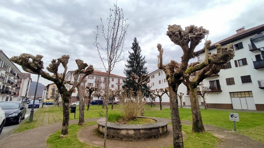 Elizondo acoge una ruta en bicicleta sobre poda urbana