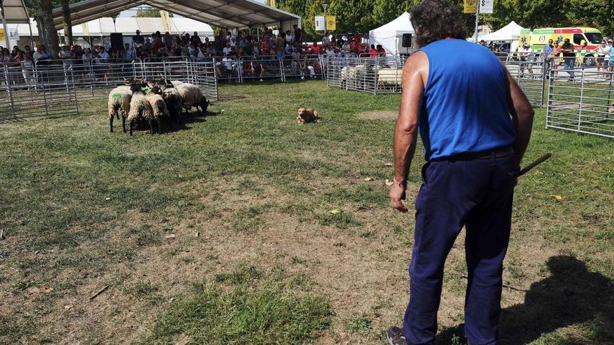 Autentika reconoce el sello navarro