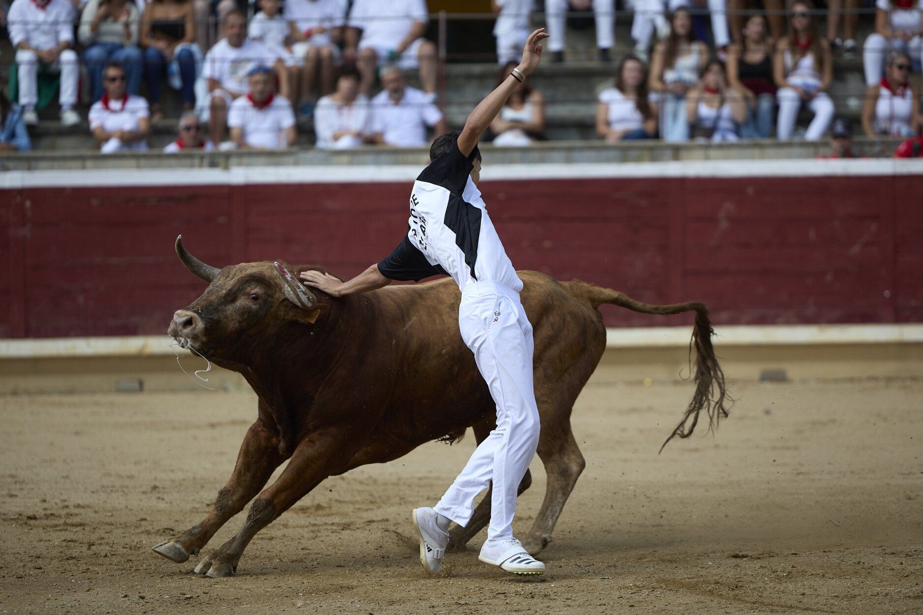 Fotos del concurso de recortadores de fiestas de Tafalla