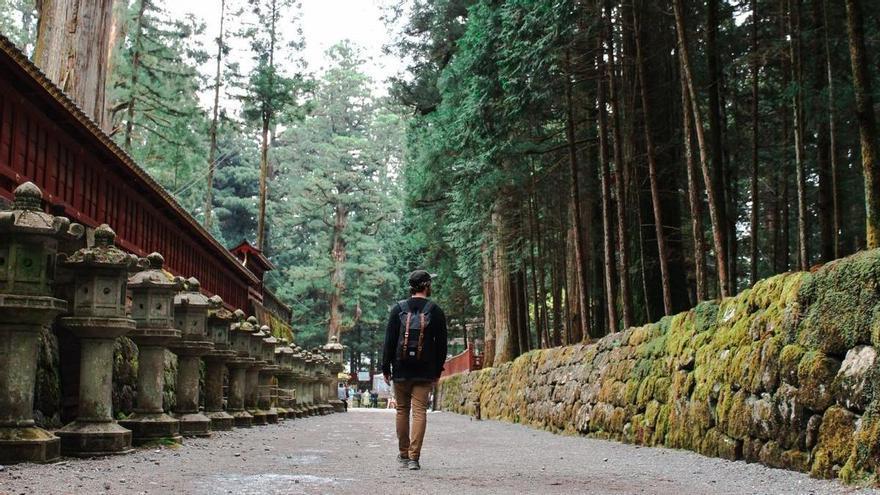 Japón, Egipto, los cruceros y safaris lideran la demanda de las reservas estivales