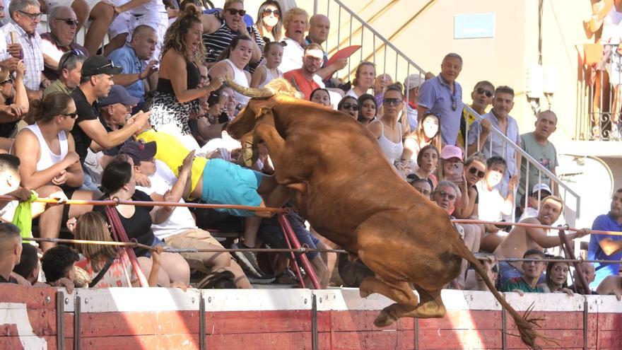 Un toro capón salta a la grada de la plaza de Cadreita, hiere a una mujer y lesiona a un conocido recortador