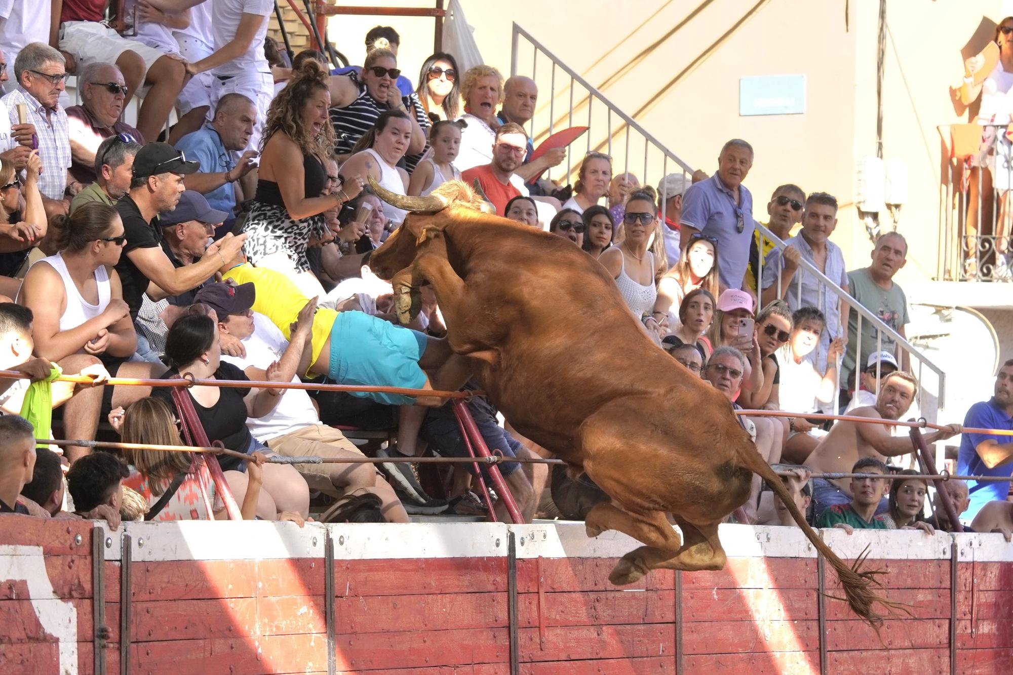 Así ha sido el salto de un toro a la grada en Cadreita
