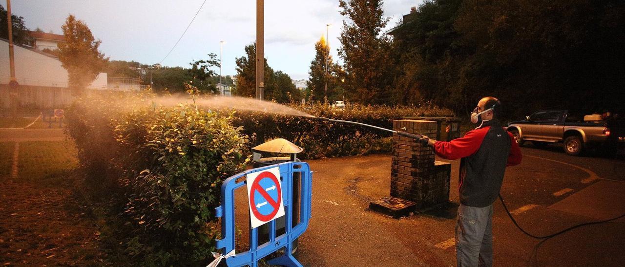 Hendaia amplía las zonas a fumigar por la amenaza del mosquito tigre
