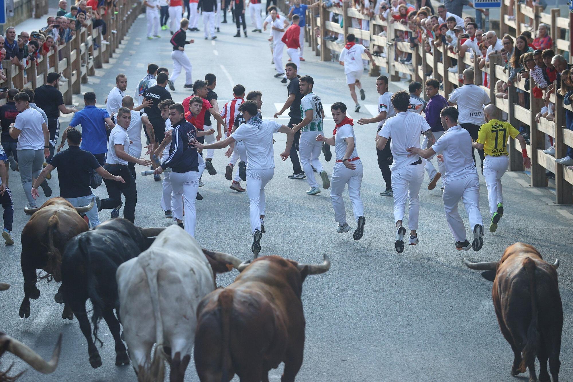 Fotos del quinto encierro de las fiestas de Tafalla 2025