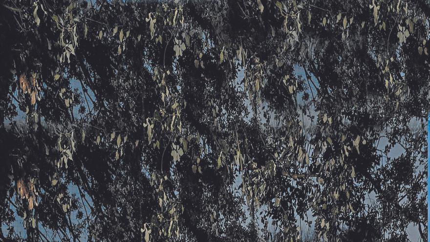 “Saiatu gara forma eta gai aldetik agian bertsotan hain erraz landuko ez genituzkeen gaiak lantzen”