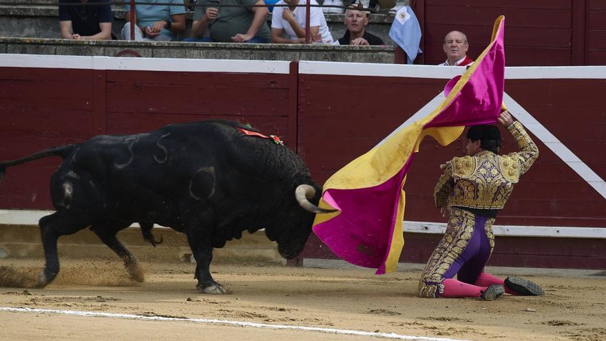 Fotos de la corrida de toros de este domingo en Tafalla