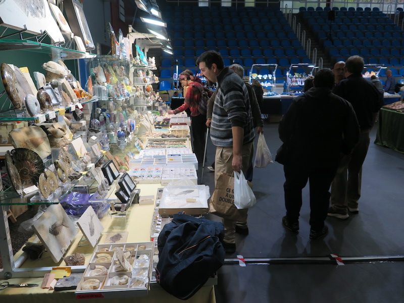 Los minerales, los fósiles y los dinosaurios toman Urretxu