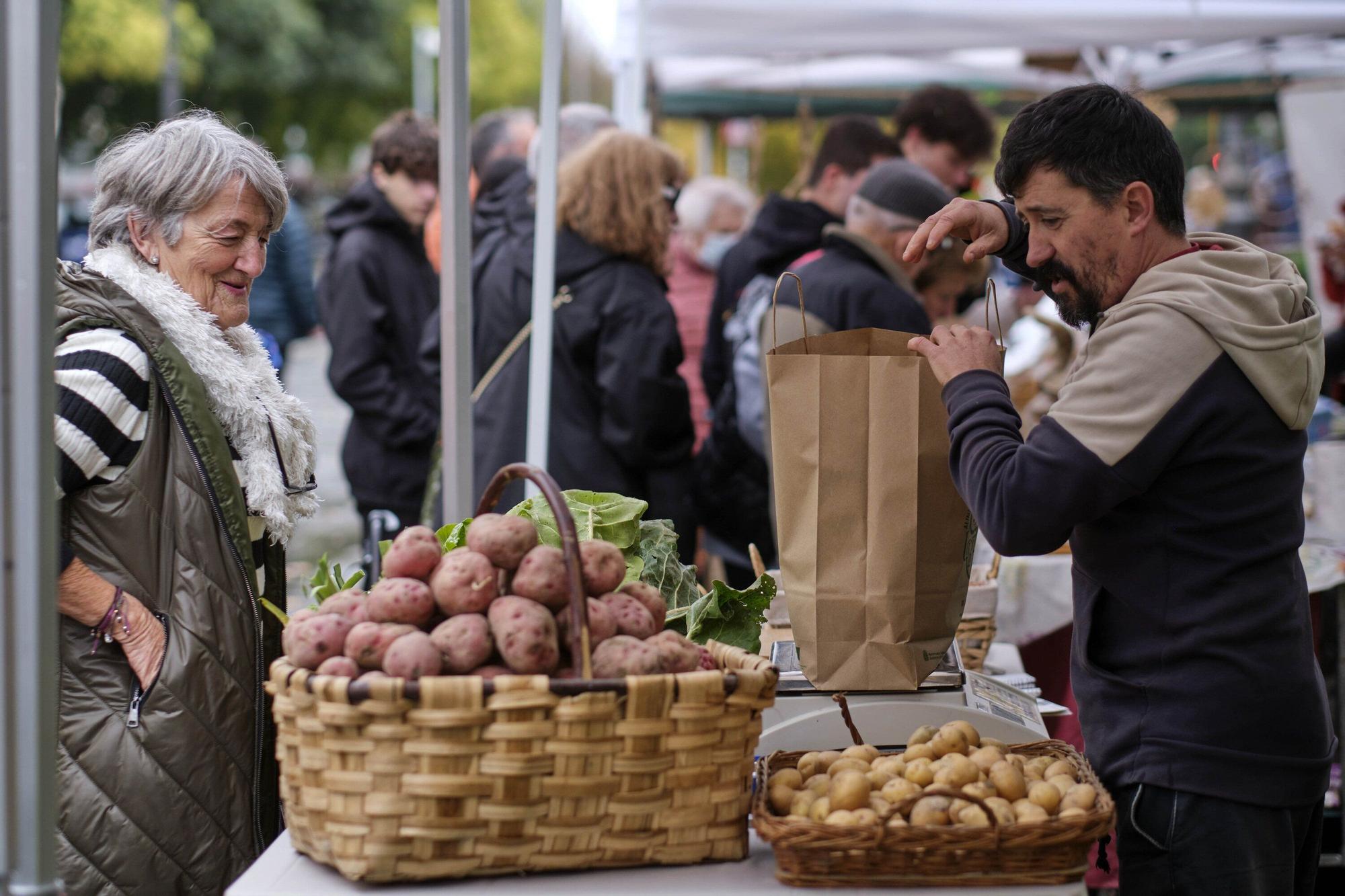 Mercado Basotxoa en El Bosquecillo