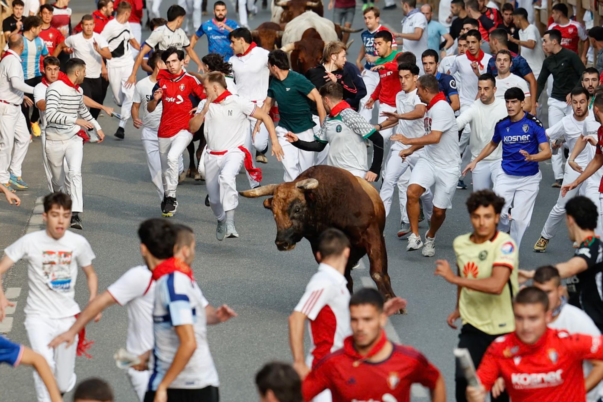 Fotos del quinto encierro de las fiestas de Tafalla 2025