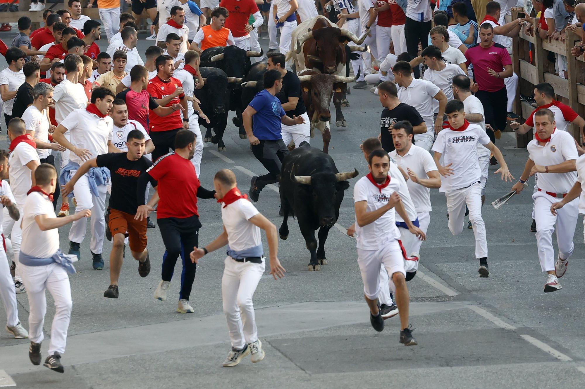 Fotos del segundo encierro de fiestas de Tafalla 2025