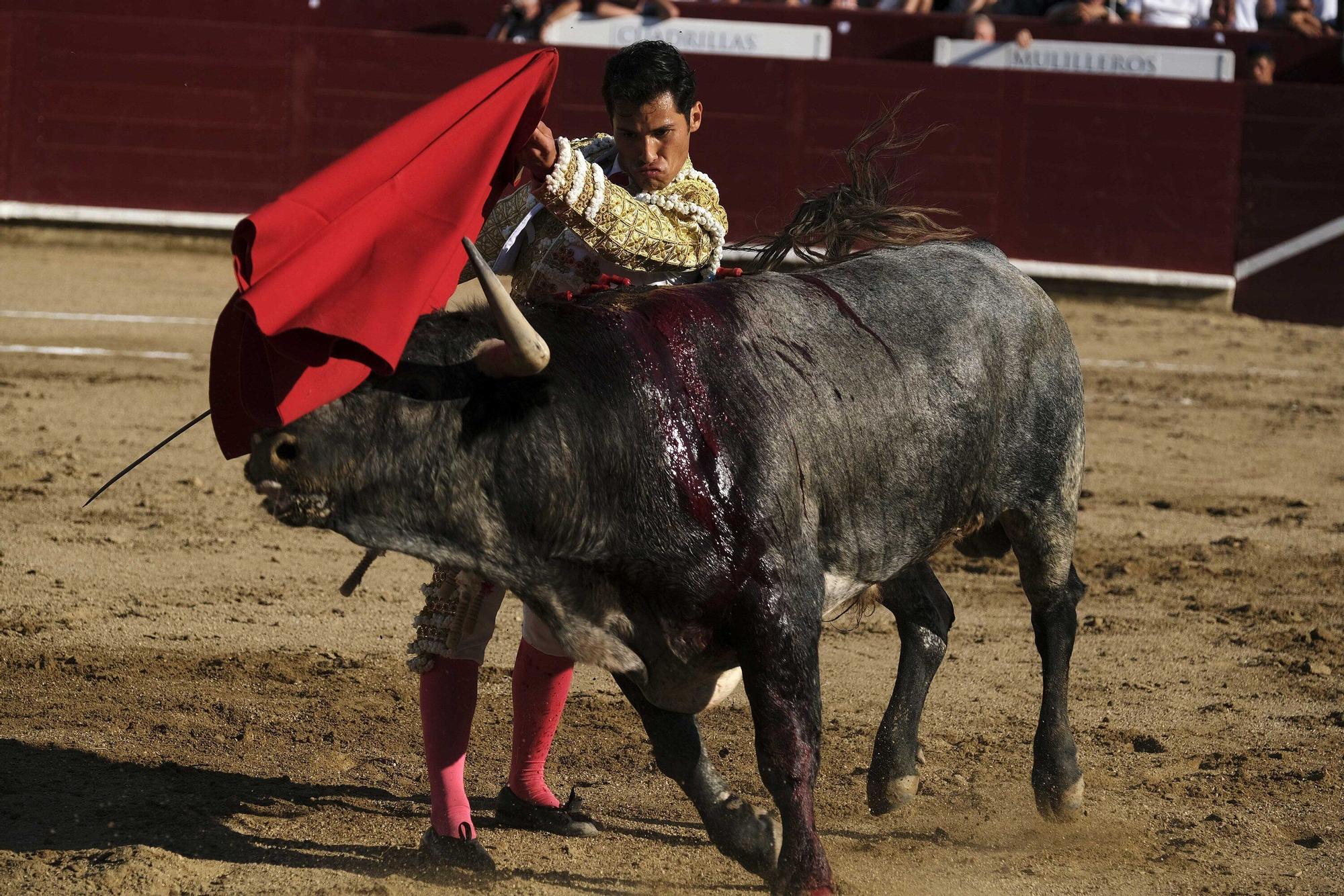 Fotos de la corrida con toros de Partido de Resina en fiestas de Estella-Lizarra