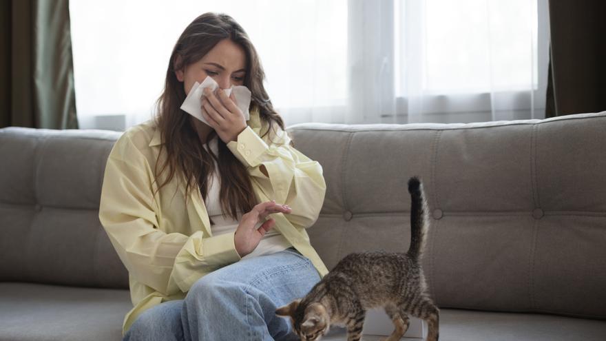 ¿Es realmente el pelo de tu gato lo que te causa alergia?