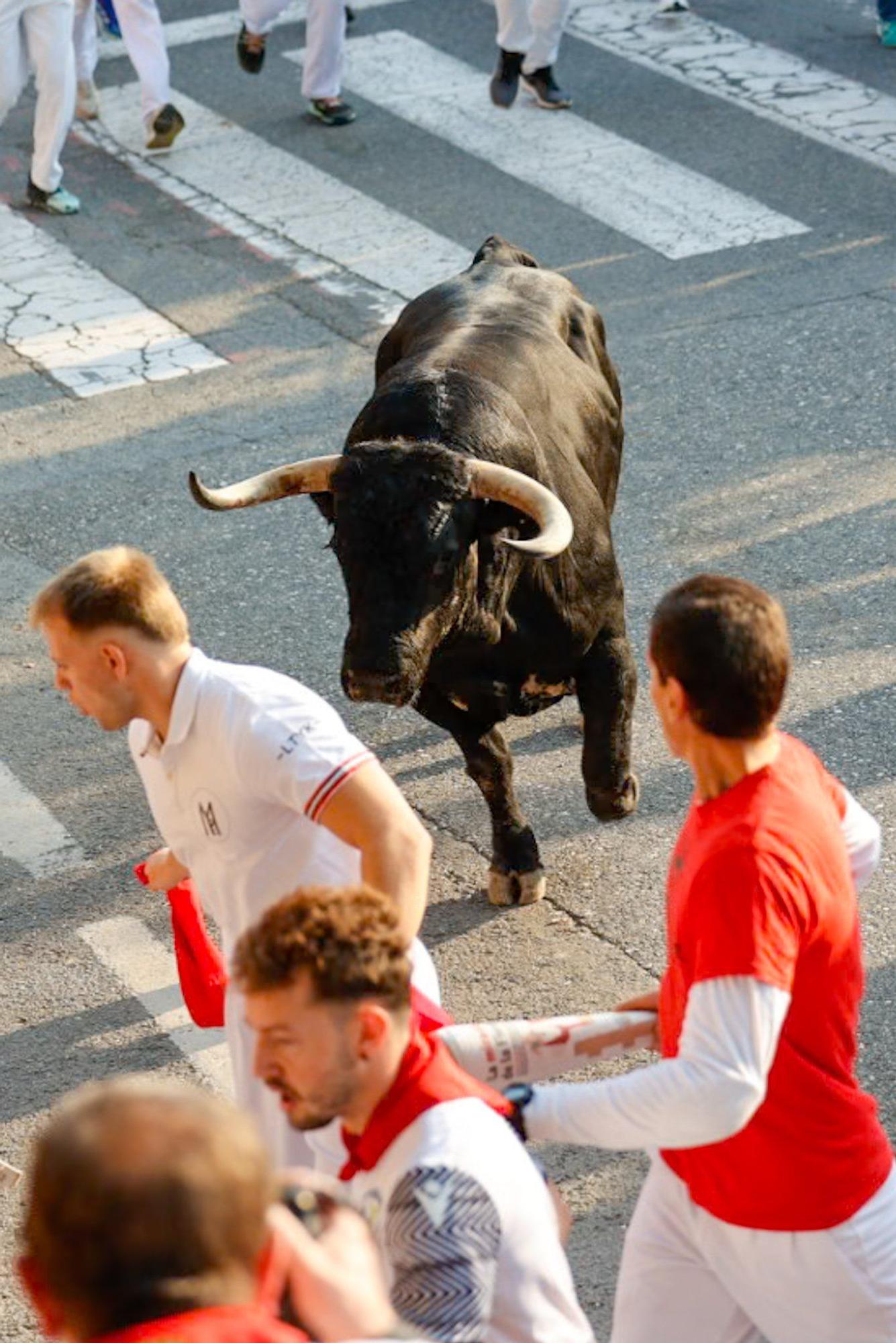 Fotos del primer encierro de fiestas de Tafalla