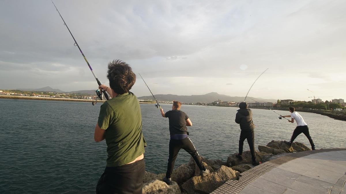 Pesca recreativa con licencia del Ejército en Hondarribia
