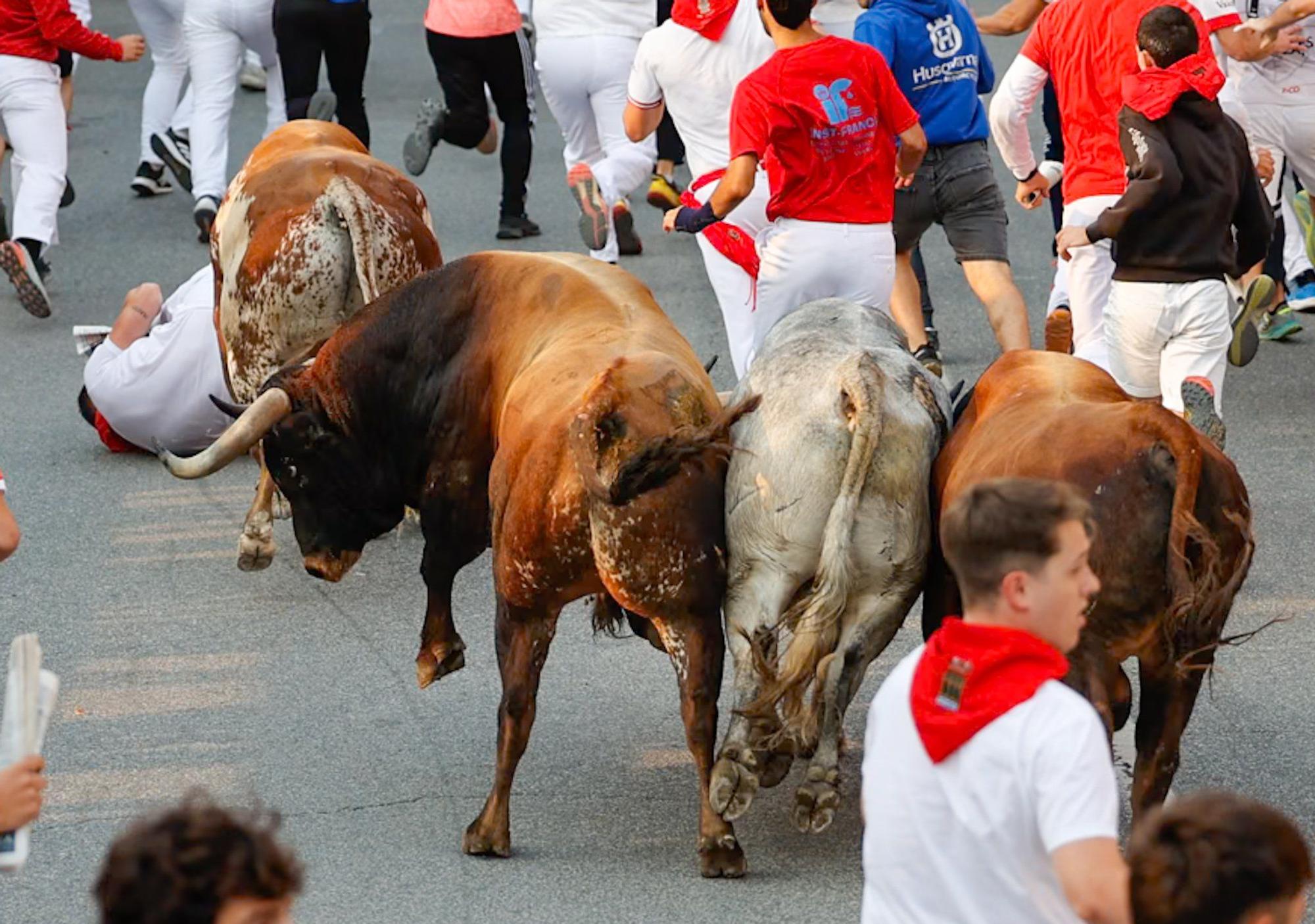 Fotos del tercer encierro de fiestas de Tafalla 2025