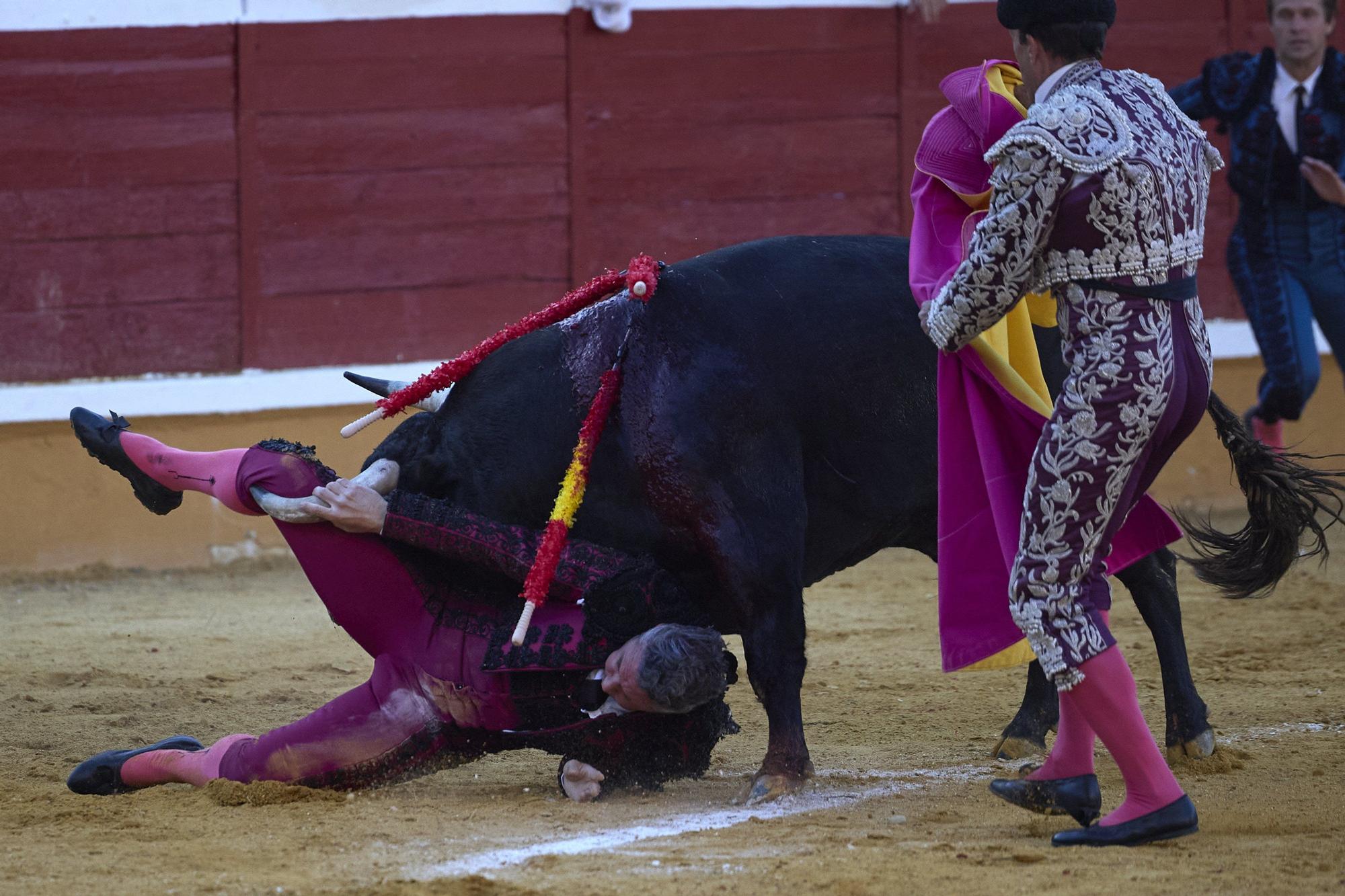 Fotos de la corrida de toros en Tudela con toros de Garzón Valdenebro