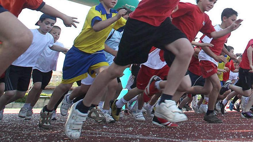 En 2007 el número de donantes navarros no excedía los 3.000. En la actualidad, 7.950 navarros son donantes activos de médula ósea