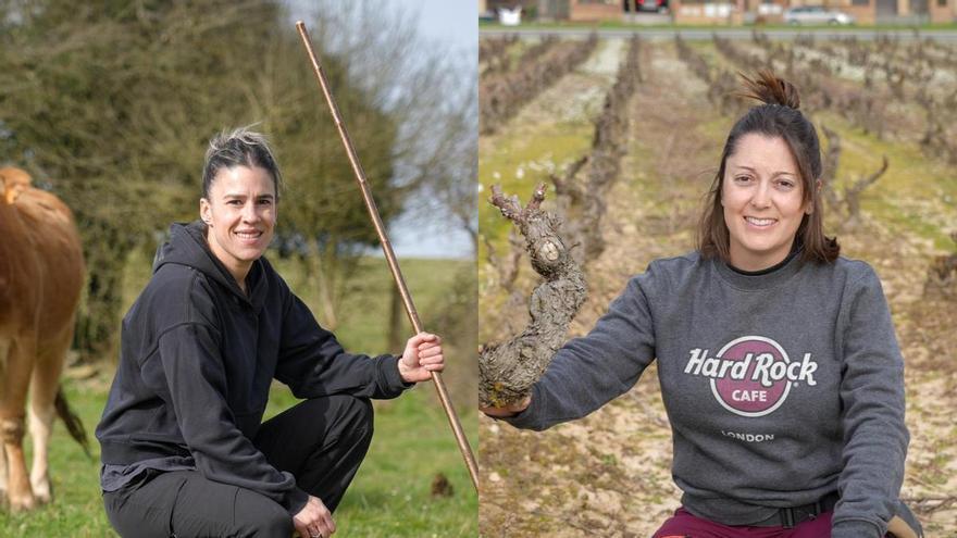 Brotes verdes en el campo de Álava, pero no los suficientes