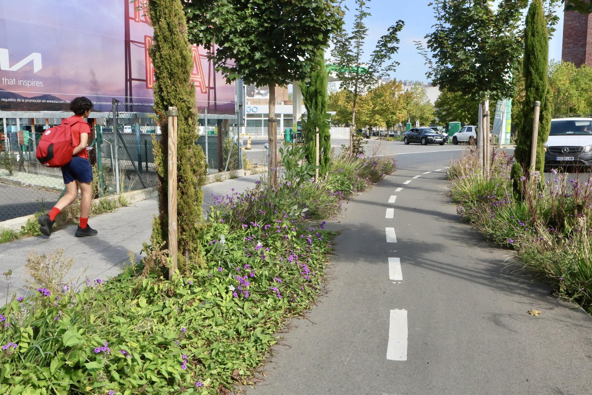En imágenes: Vitoria-Gasteiz se prepara para adecentar el verde de la ciudad